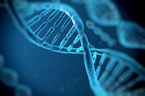 Preimplantation Genetic Testing(PGT) Preimplantation Genetic Testing(PGT)