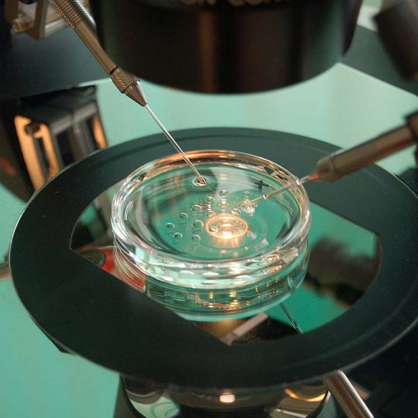 ivf ivf