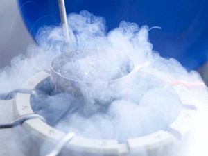Cryopreservation service for fertility