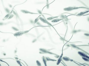 PESA and TESE sperm retrieval