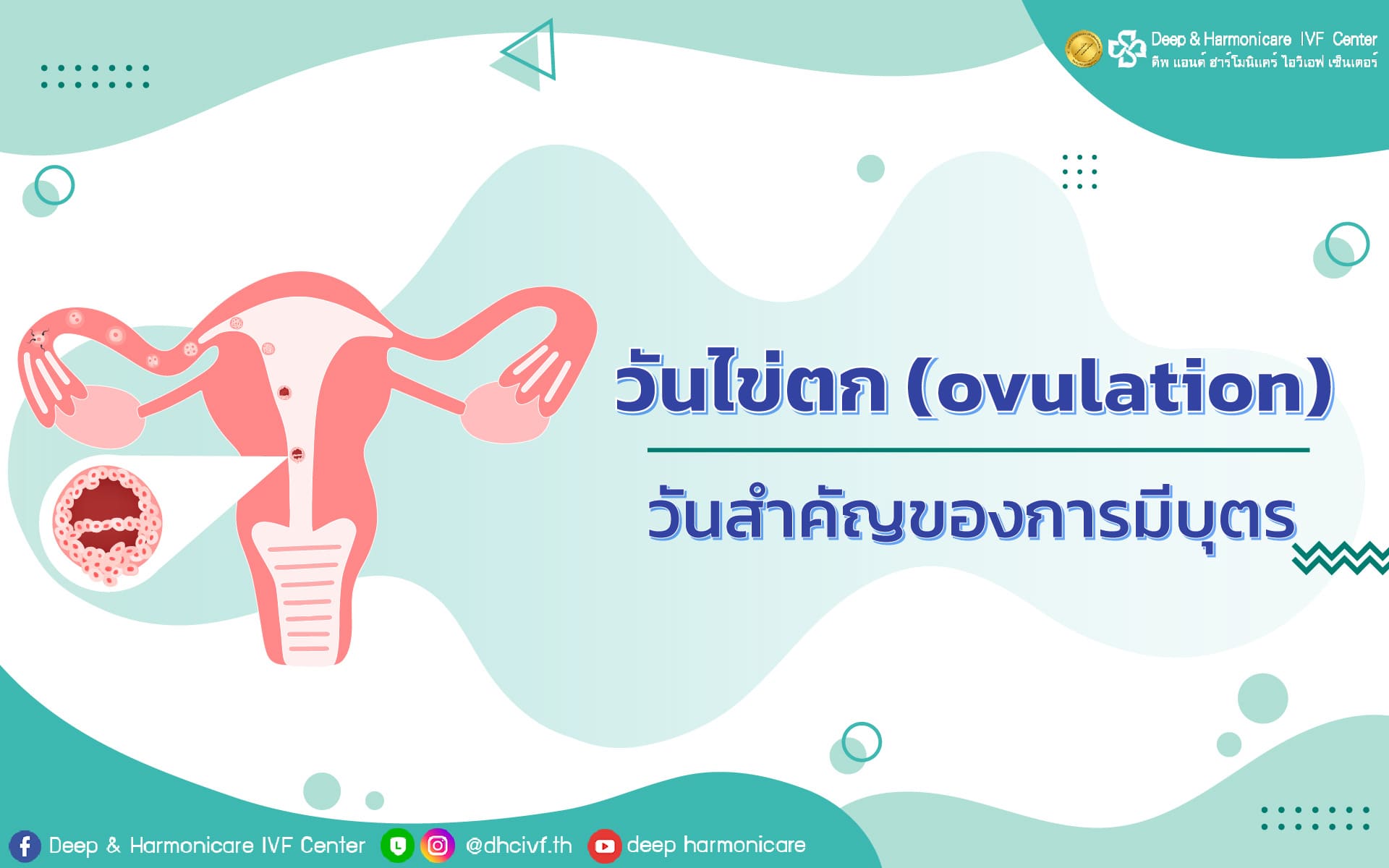วันไข่ตก (Ovulation) : วันสำคัญของการมีบุตร | DHC IVF Center วันไข่ตก (Ovulation) : วันสำคัญของการมีบุตร | Dhc Ivf Center