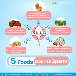 Foods Nourish Sperm